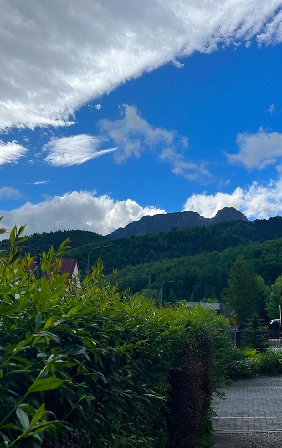 Dom Lesnik Zakopane Exterior foto