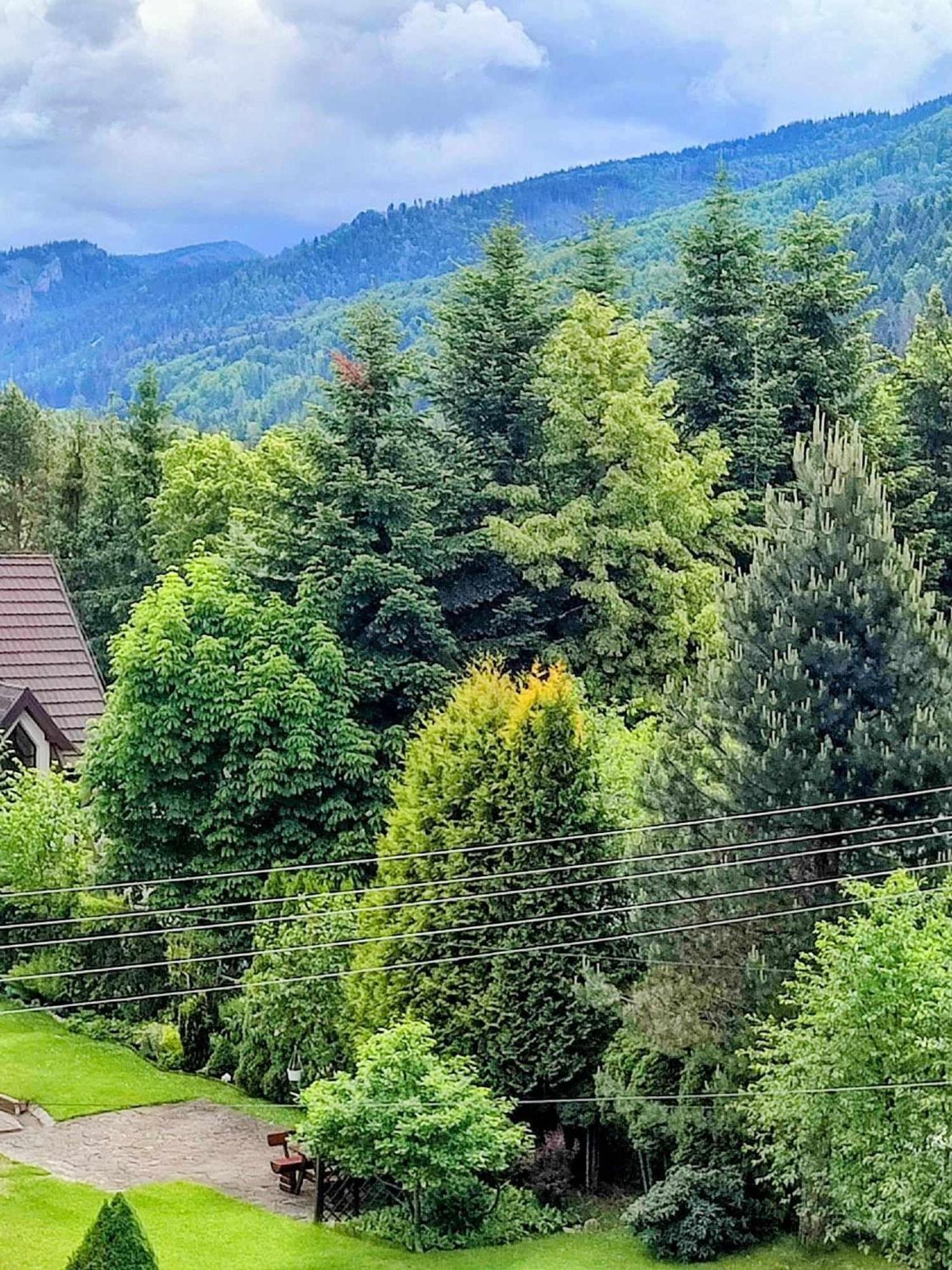 Dom Lesnik Zakopane Exterior foto
