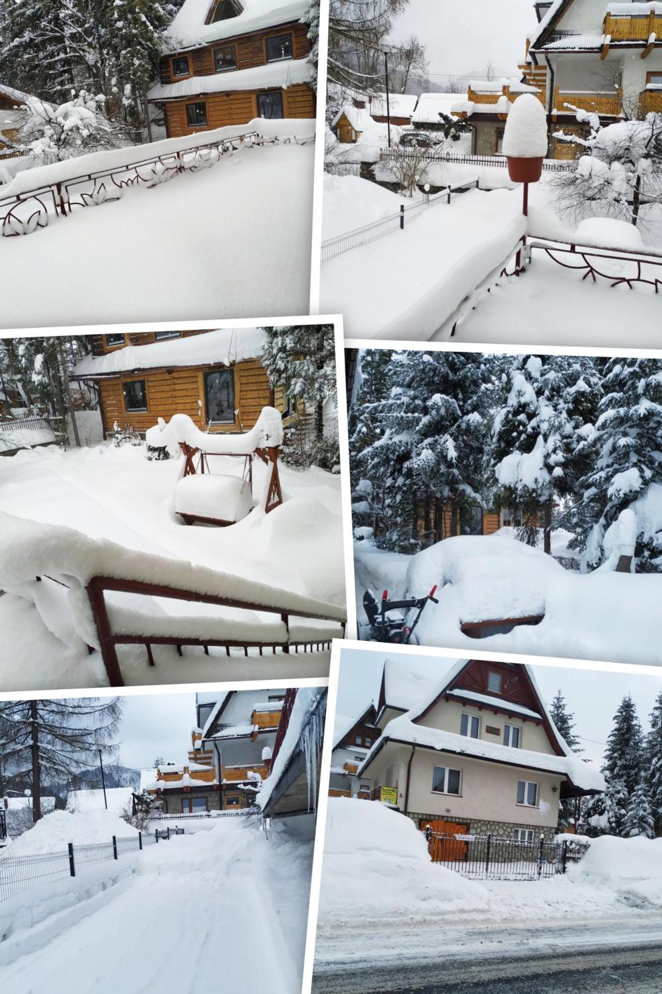 Dom Lesnik Zakopane Exterior foto